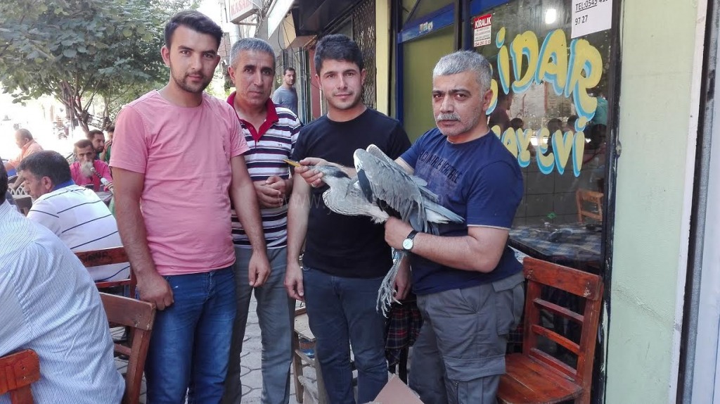 IĞDIR DOĞA KORUMANIN BAYRAM MİSAFİRLERİ