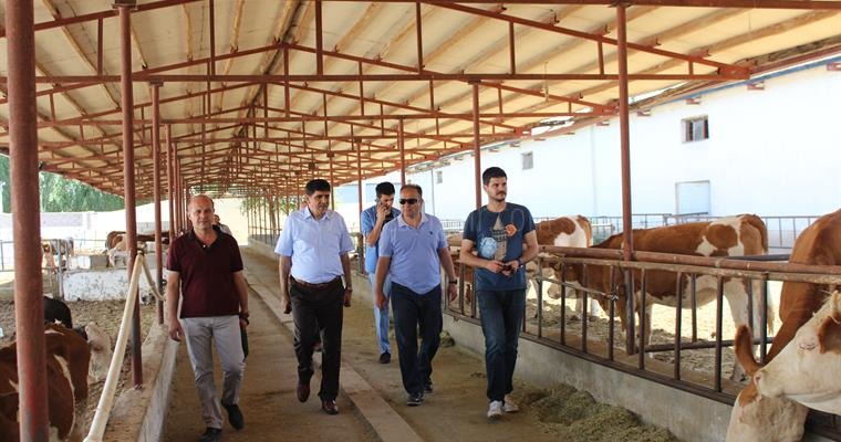 Rektör ve Tarım Müdürü Sahada İnceleme Yapıyor