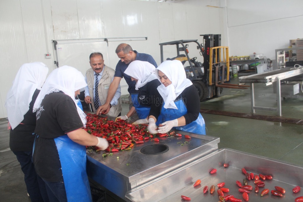 İL MÜDÜRÜ ÖZKAN YOLCU IĞDIRIN TARIMSAL ÜRETİMİ VE İHRACATI KONULARINDA TRT YAYININA KATILDI