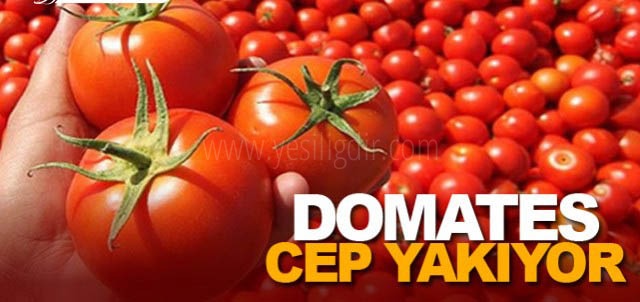 Iğdırda Domateste fahiş fiyat artışı
