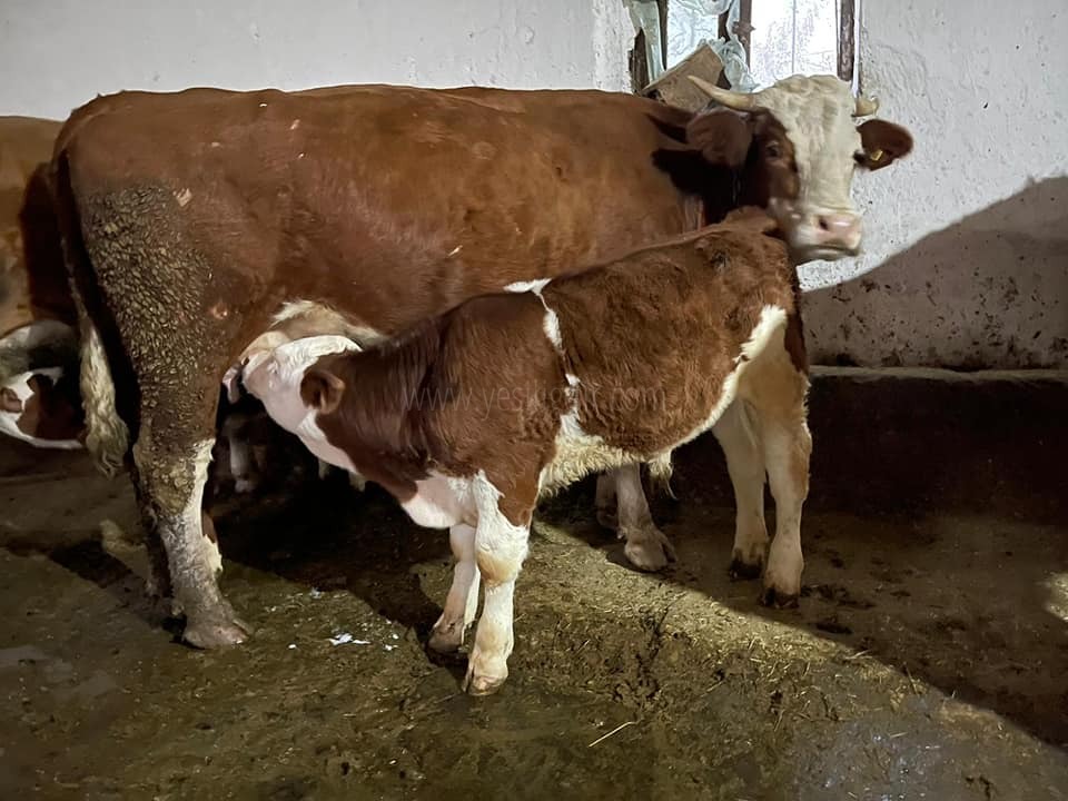 Iğdır Merkez ve İlçelerde Etki Yap projesi etkiyapmaya devam ediyor