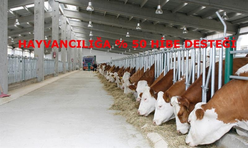 ÇİFTÇİLERİMİZE 50 HİBE DESTEĞİ MÜJDESİ