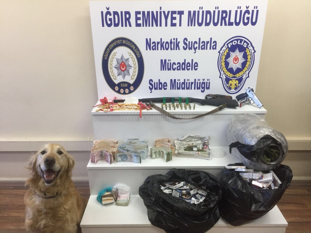 IĞDIRDA TORBACI OPERASYONU 2 GÖZALTI