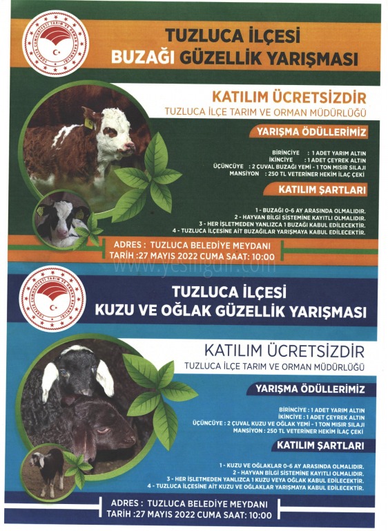 Tuzluca İlçesinde Buzağı ve Kuzu - Oğlak Güzellik Yarışması Düzenlenecek