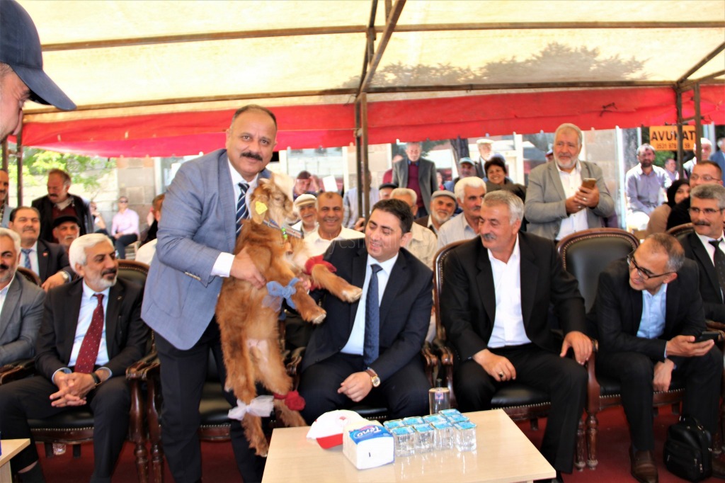 TUZLUCA İLÇESİNDE 3 BUZAĞI KUZU VE OĞLAK GÜZELLİK YARIŞMASI DÜZENLENDİ