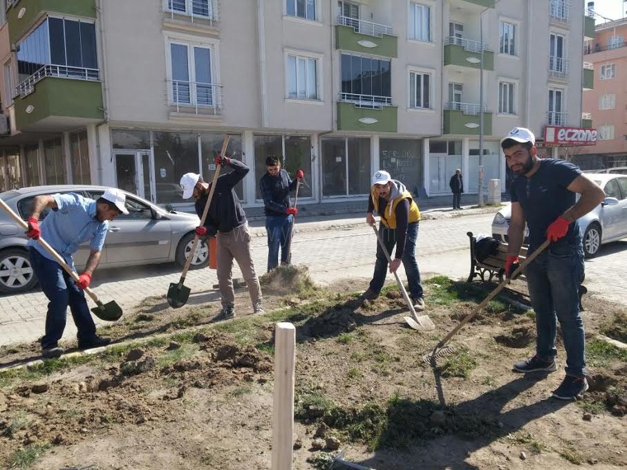 SOSYAL SORUMLULUK TOPLULUĞU PARKINA SAHİP ÇIK SLOGANIYLA ÇİM EKİMİ VE GÜL DİKİMİ YAPTI