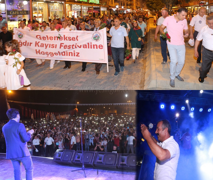 GELENEKSEL IĞDIR 1 KAYISI FESTİVALİNE YOĞUN İLGİ