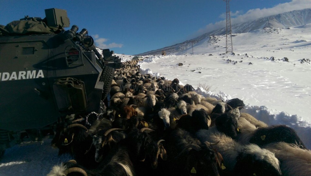 DONMAKTAN JANDARMA KOMANDOLAR KURTARDI