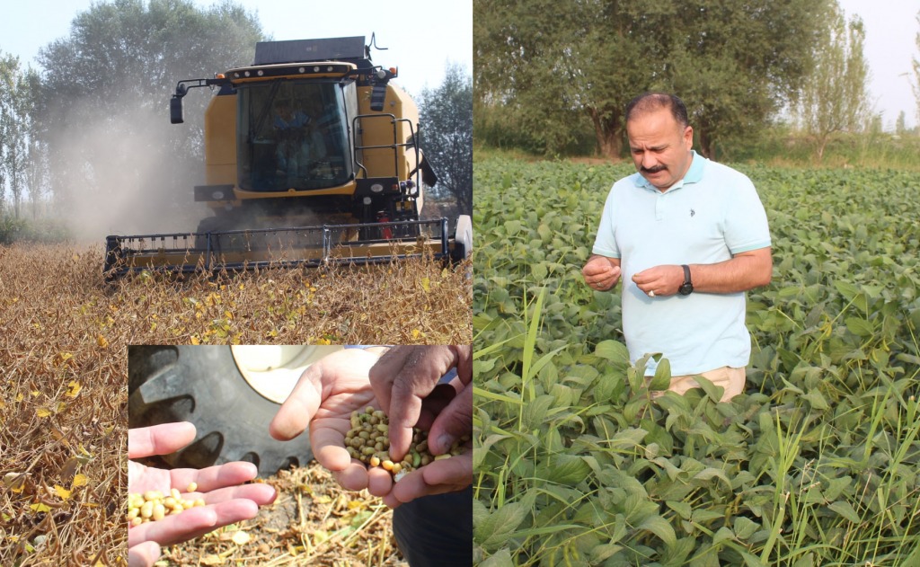İLİMİZDE İLK SOYA HASADI YAPILDI