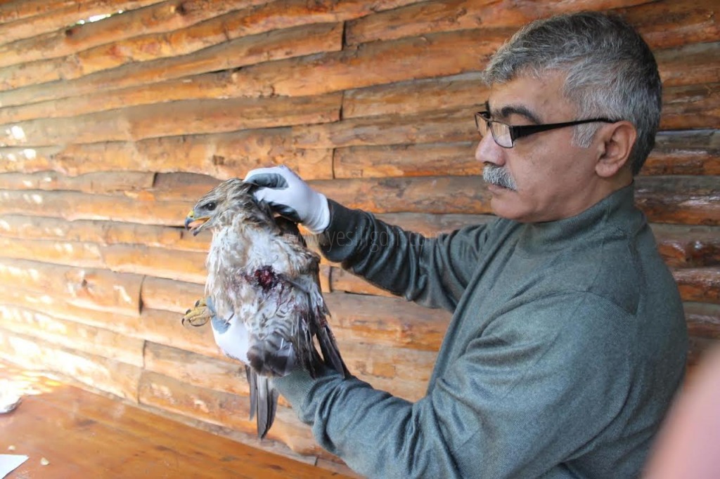 DOĞADAKİ CANLILARI BİLİNCSİZCE AVLAMAK AVCILIK DEĞİLDİR