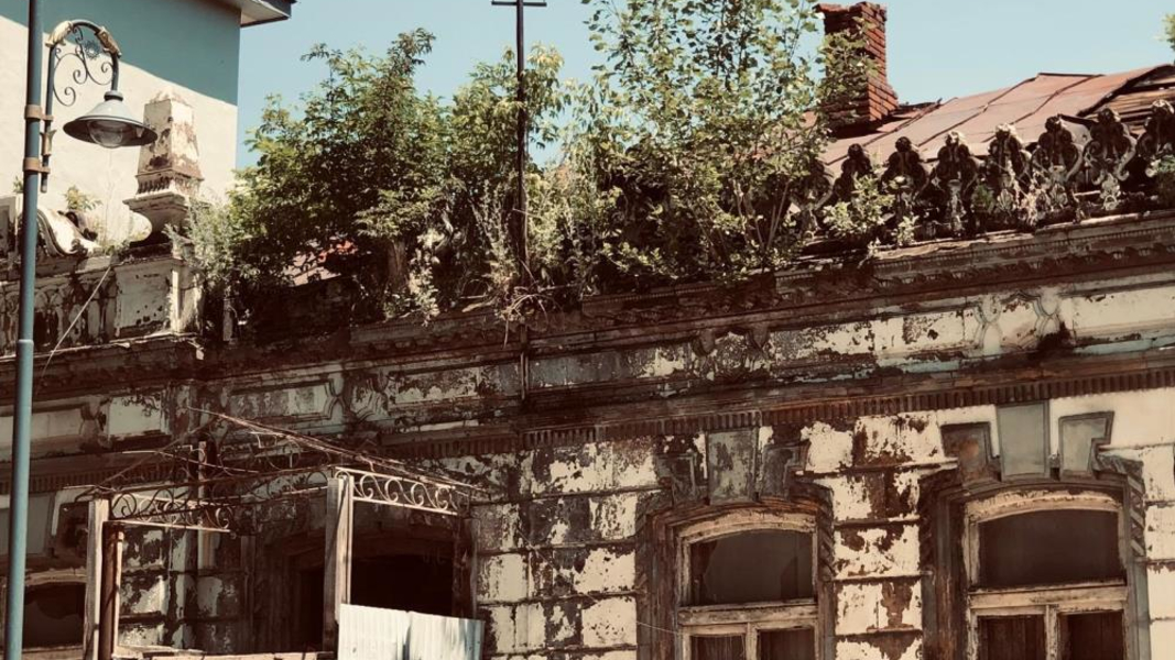 Kars’ta tarihi binanın üzerinde ağaç yetişti