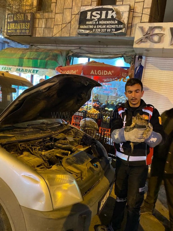 Yavru Kedi Sıkıştığı Yerden Kurtarıldı