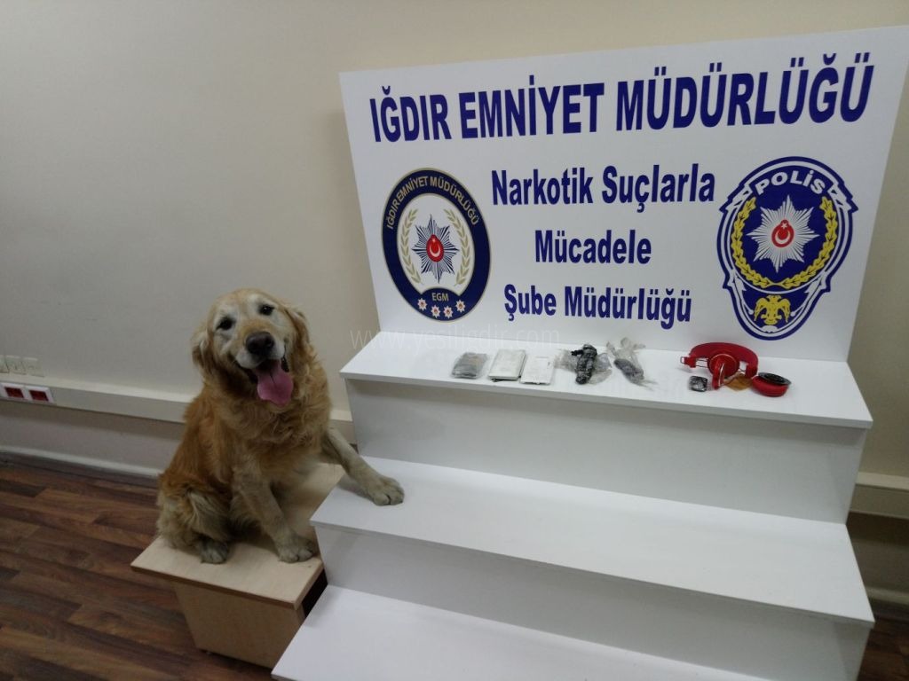 NARKOTİK SUÇLARLA MÜCADELEYE DEVAM