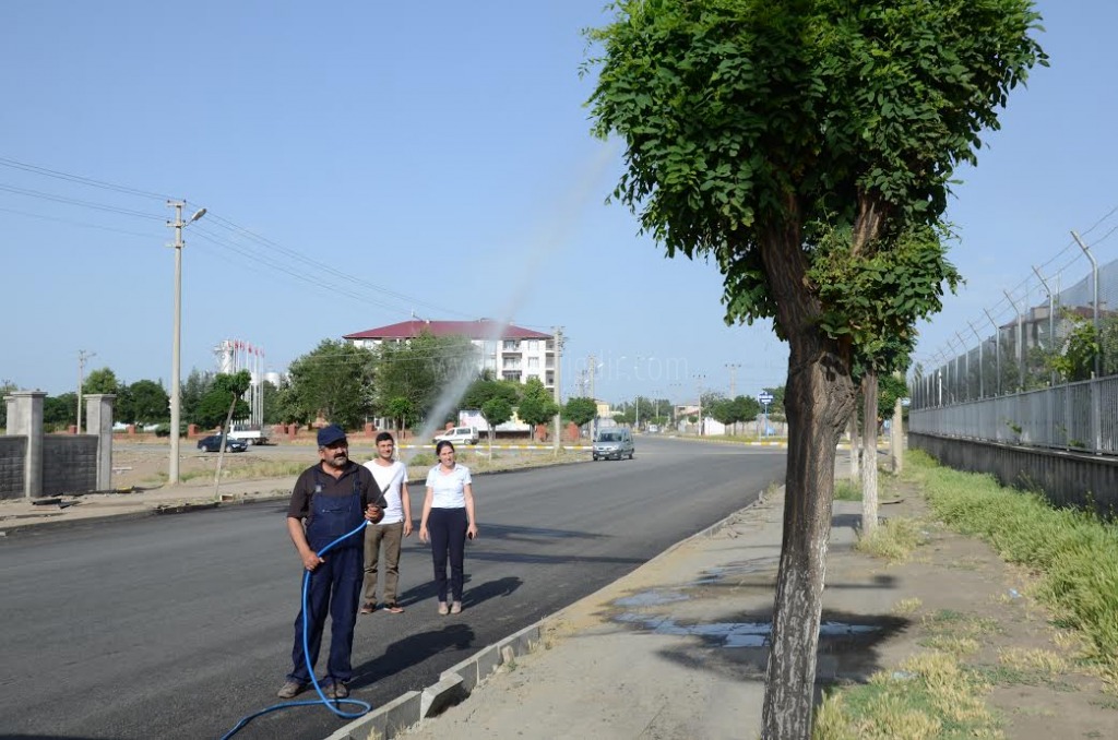 Iğdır Belediyesiden Ağaç İlaçlama Çalışması