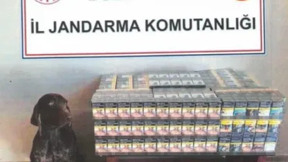 Otobüste kaçak sigara ele geçirildi