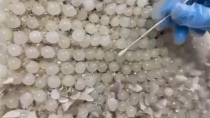 Gelinlikten  25 kilo uyuşturucu çıktı