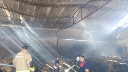 Reyhanlı’da samanlık yangını