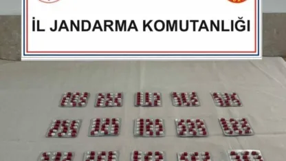 Uyuşturucu operasyonu: 1 tutuklama