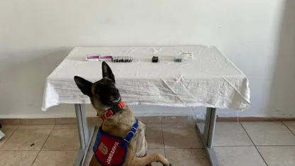 Van’da İran uyruklu şahsın üzerinden 380 adet sentetik hap ele geçirildi