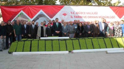 Düzce’de yüzde 75 destekli 232 bin 500 adet marul fidesi dağıtıldı