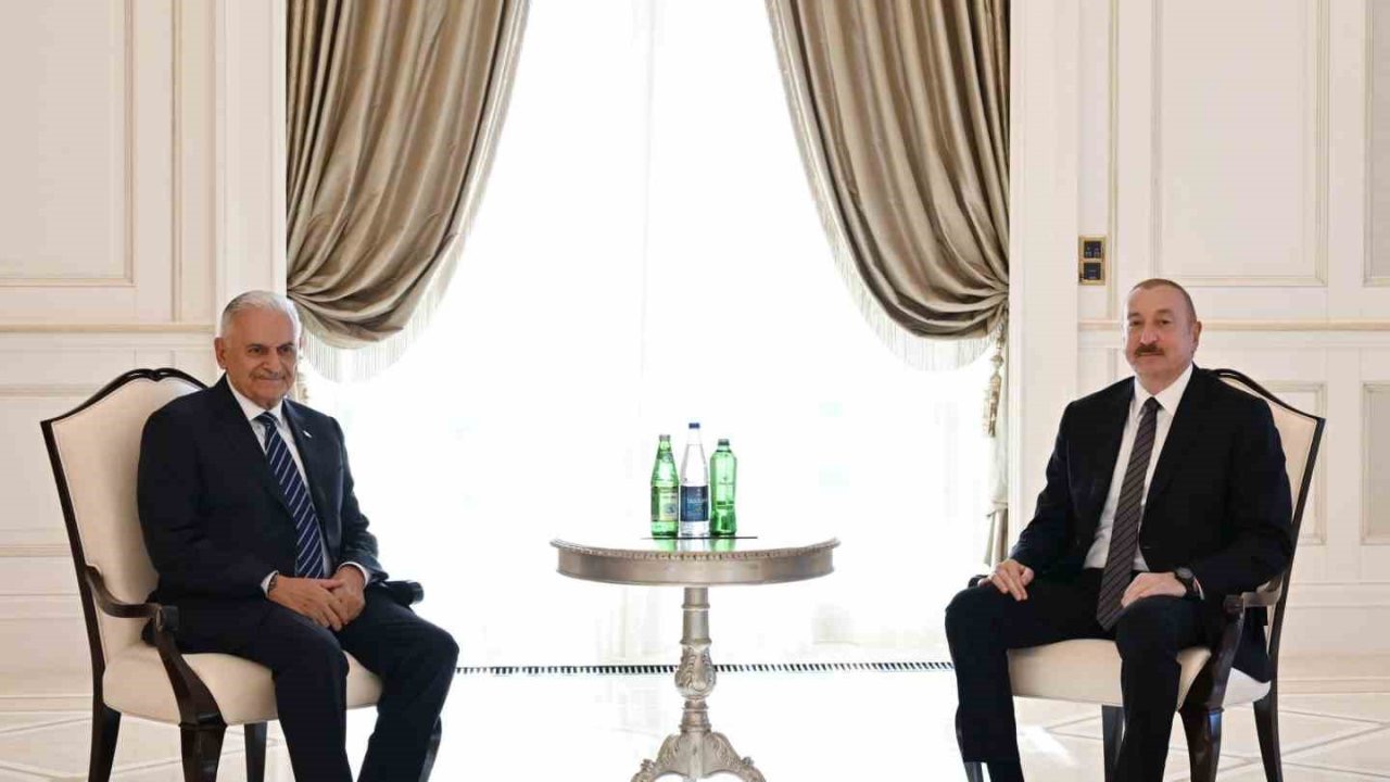 Azerbaycan Cumhurbaşkanı Aliyev, TDT Aksakallar Konseyi Başkanı Yıldırım’ı kabul etti
