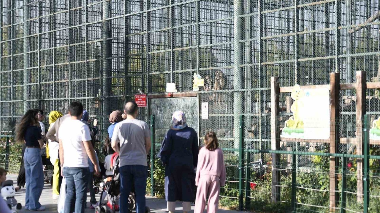 Hayvanat bahçesine ziyaretçi akını